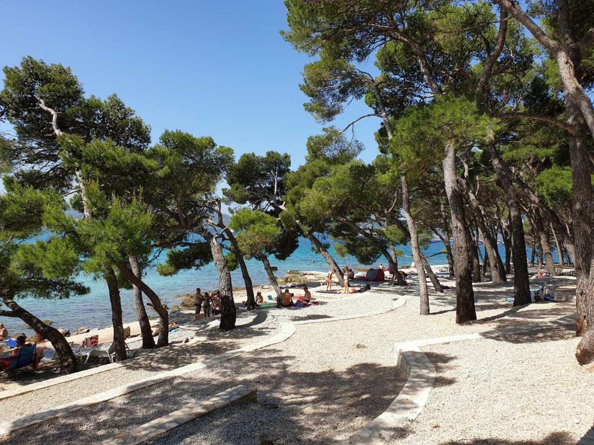 Mobile Home Starfish IV Camp Biograd 比奥格勒·纳·莫鲁 外观 照片